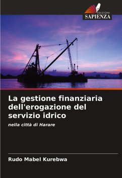 Cover La gestione finanziaria dell'erogazione del servizio idrico