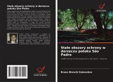 Sta¿e obszary ochrony w dorzeczu potoku São Pedro Sta¿e obszary ochrony w dorzeczu potoku São Pedro