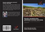 Koszty produkcyjne plantacji trzciny cukrowej