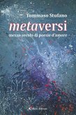metaversi (eBook, ePUB)