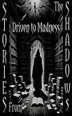 Stories From the Shadows - Driven to Madness (eBook, ePUB)