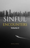 Sinful Encounters Volume 3 (eBook, ePUB)