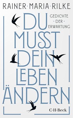 Cover Du mußt dein Leben ändern