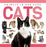 Cats Cats
