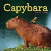 Capybara Wall Calendar 2026 Capybara Wall Calendar 2026