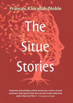 Cover The Situe Stories