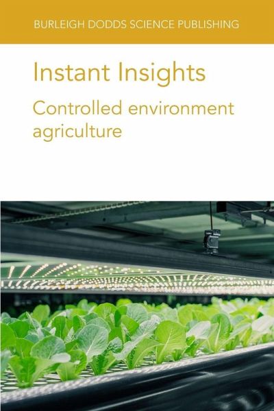 Instant Insights Instant Insights
