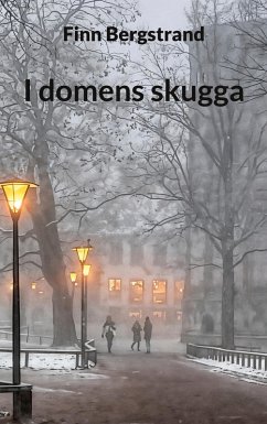 I domens skugga - Bergstrand, Finn