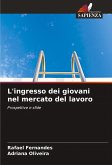 L'ingresso dei giovani nel mercato del lavoro L'ingresso dei giovani nel mercato del lavoro