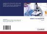 BRIEFLY IN DIAGNOSIS - Bild 1
