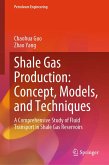 Shale Gas Production: Concept, Models, and Techniques (eBook, PDF)