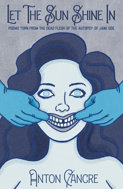 Let The Sun Shine In (eBook, ePUB) - Cancre, Anton