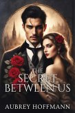 The Secret Between Us (eBook, ePUB)