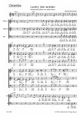 Canite Jesu nostro für gem Chor (SAB) und Streicher Chorpartitur (la/dt)