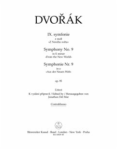 Cover Symphonie Nr. 9 e-Moll op. 95
