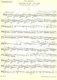 Sinfonie D-Dur KV196 für Orchester Cello/Baß