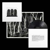 Crooked Wing (Lp) Crooked Wing (Lp)