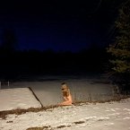 From Where You Came (Clear Vinyl) From Where You Came (Clear Vinyl)