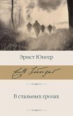 V stalnyh grozah (eBook, ePUB) V stalnyh grozah (eBook, ePUB)