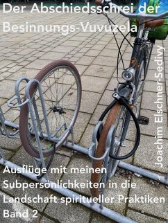 Cover Der Abschiedsschrei der Besinnungs-Vuvuzela (Ausflüge mit meinen Subpersönlichkeiten in die Landschaft spiritueller Praktiken, #2) (eBook, ePUB)