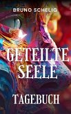 Geteilte Seele (eBook, ePUB)