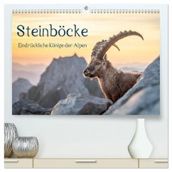 Steinböcke - Eindrückliche Könige der Alpen (hochwertiger Premium Wandkalender 2026 DIN A2 quer), Kunstdruck in Hochglanz Steinböcke - Eindrückliche Könige der Alpen (hochwertiger Premium Wandkalender 2026 DIN A2 quer), Kunstdruck in Hochglanz
