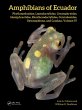 Amphibians of Ecuador (eBook, PDF) - Bild 1
