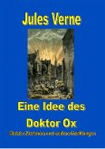 Eine Idee des Doktor Ox (eBook, ePUB)