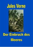Der Einbruch des Meeres (eBook, ePUB)