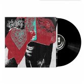 Geist 5 Jahre Ltd Edition(Album Und Instrumentals) Geist 5 Jahre Ltd Edition(Album Und Instrumentals)