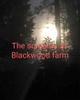 The Screams at Blackwood farm... - Bild 1