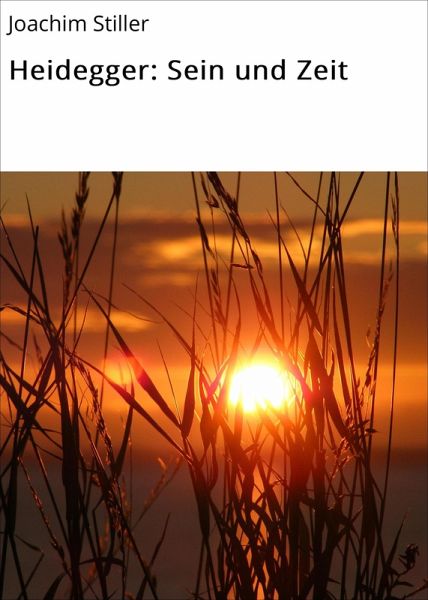 Heidegger: Sein und Zeit (eBook, ePUB)