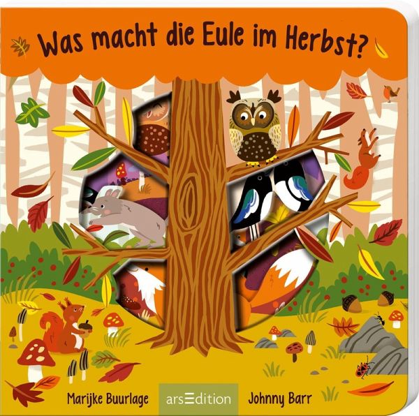 Was macht die Eule im Herbst? Was macht die Eule im Herbst?