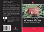 Problemas de liquidez das pequenas empresas Problemas de liquidez das pequenas empresas