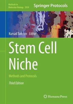 Cover Stem Cell Niche