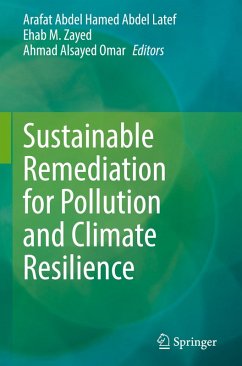 Cover Sustainable Remediation for Pollution and Climate Resilience