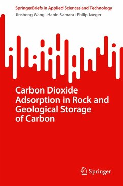 Cover Carbon Dioxide Adsorption in Rock and Geological Storage of Carbon