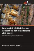 Immagini elettriche per aiutare la localizzazione dei pozzi
