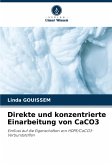 Direkte und konzentrierte Einarbeitung von CaCO3 Direkte und konzentrierte Einarbeitung von CaCO3
