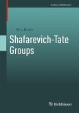 Shafarevich-Tate Groups (eBook, PDF)