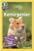 Kemirgenler Kemirgenler