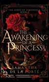 The Awakening of a Princess The Awakening of a Princess