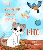 Kus Yuvasina Düsen Kedicik Pito