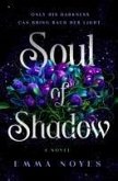 Soul of Shadow Soul of Shadow