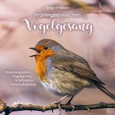 Frühlingserwachen: Vogelgesang