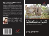 Pulpa cytrusowa lub ¿uski sojowe w ¿ywieniu jagni¿t Pulpa cytrusowa lub ¿uski sojowe w ¿ywieniu jagni¿t