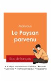 Réussir son Bac de français 2025 : Analyse du roman Le Paysan parvenu de Marivaux Réussir son Bac de français 2025 : Analyse du roman Le Paysan parvenu de Marivaux