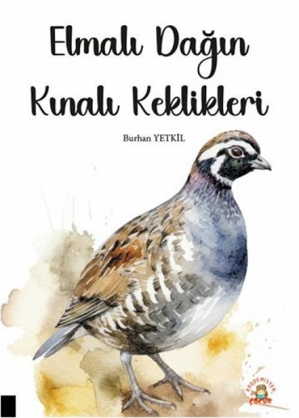 Elmali Dagin Kinali Keklikleri