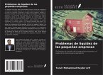 Problemas de liquidez de las pequeñas empresas Problemas de liquidez de las pequeñas empresas