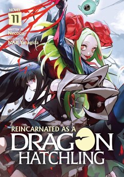 Reincarnated as a Dragon Hatchling (Light Novel) Vol. 11 - Necoco